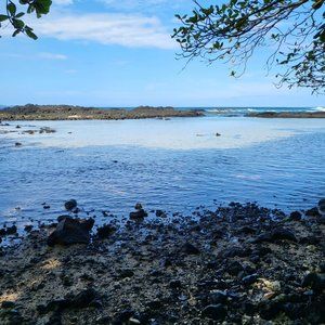 Meet your Posher, Sanya